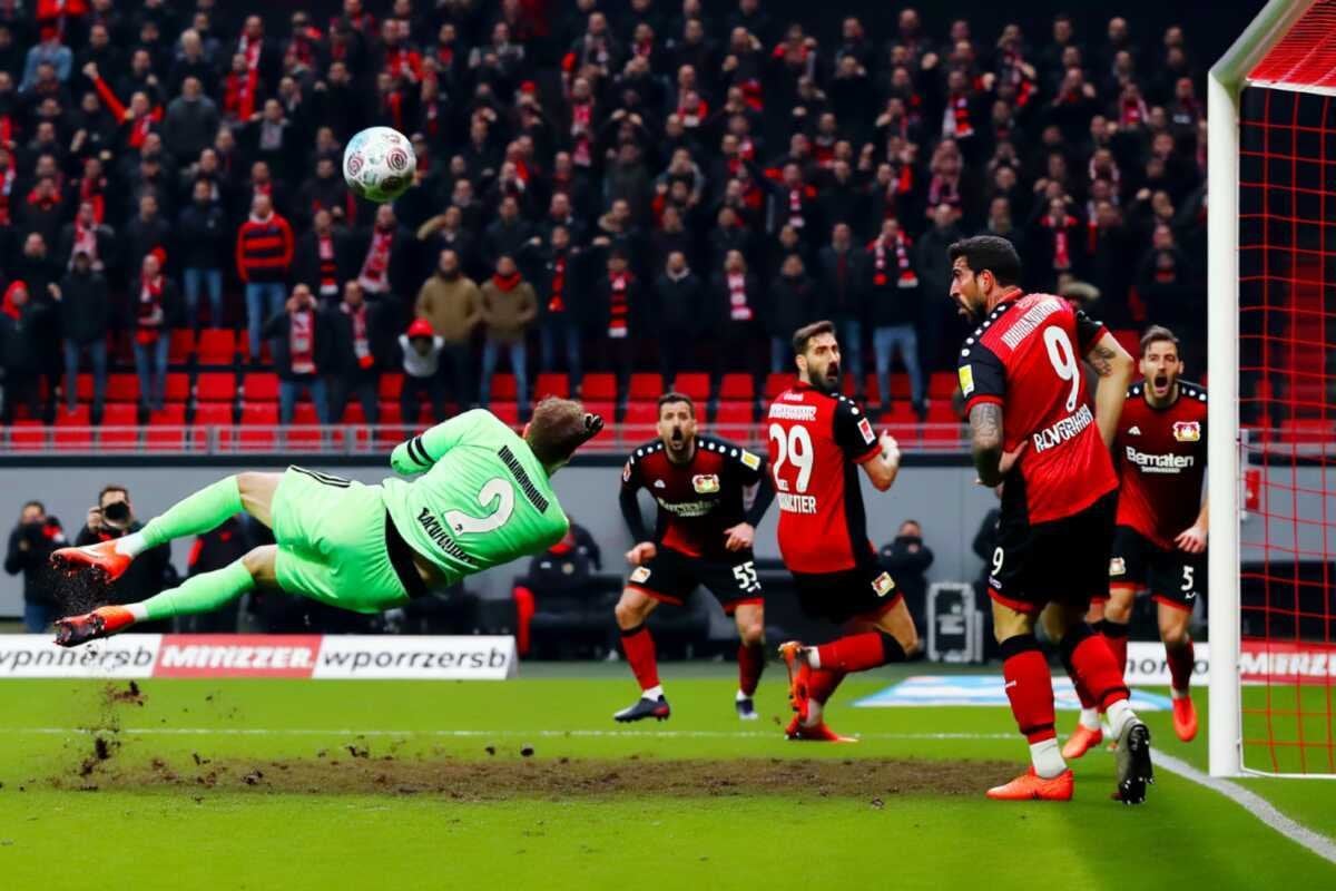 导致了多次 导致了多次