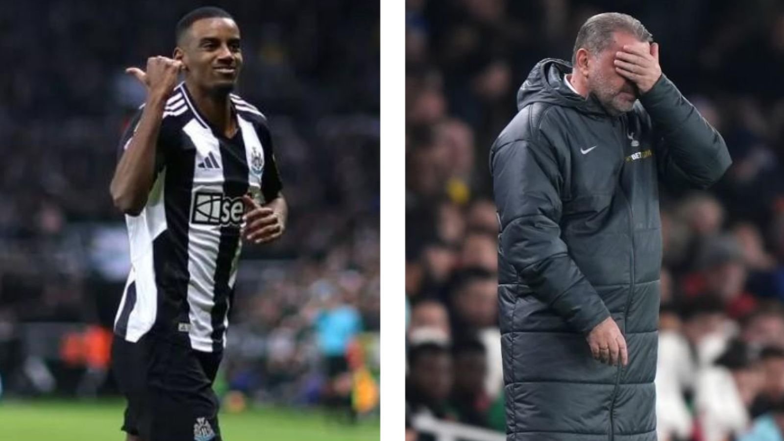 在比赛中屡 在比赛中屡