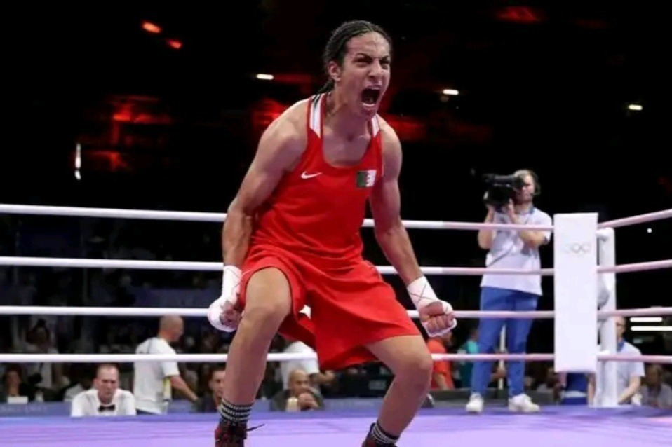 他希望阿里 他希望阿里