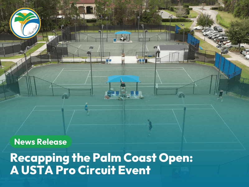 此飞跃的 此飞跃的