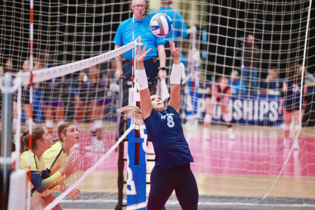 案例分析 案例分析