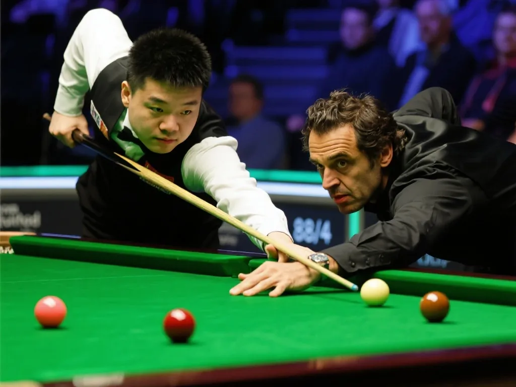 近年來也不 近年來也不